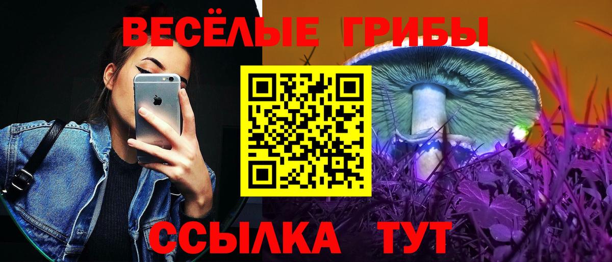 Псилоцибиновые грибы Cubensis Богородск