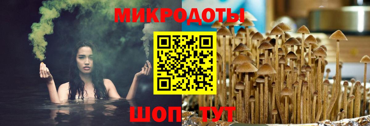 Галлюциногенные грибы Magic Shrooms  Вход с VPN  Богородск  где продают   Псилоцибиновые грибы GOLDEN TEACHER 